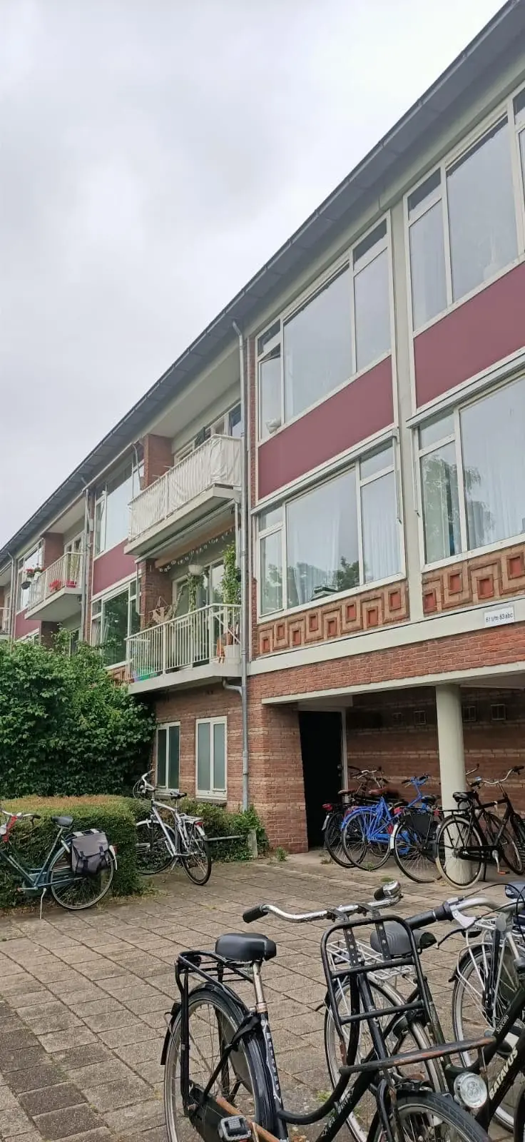 Afbeelding 10 van 10