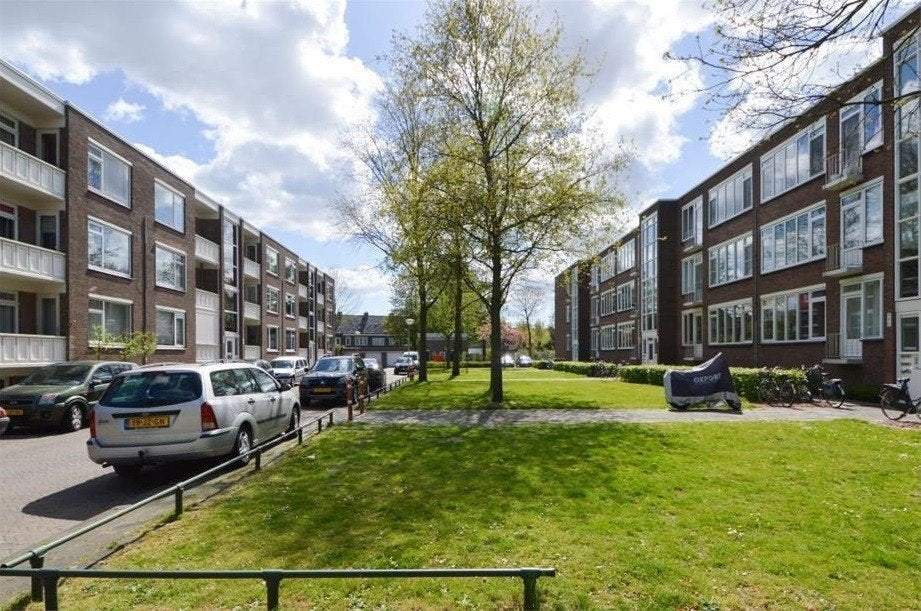Afbeelding 1 van 15