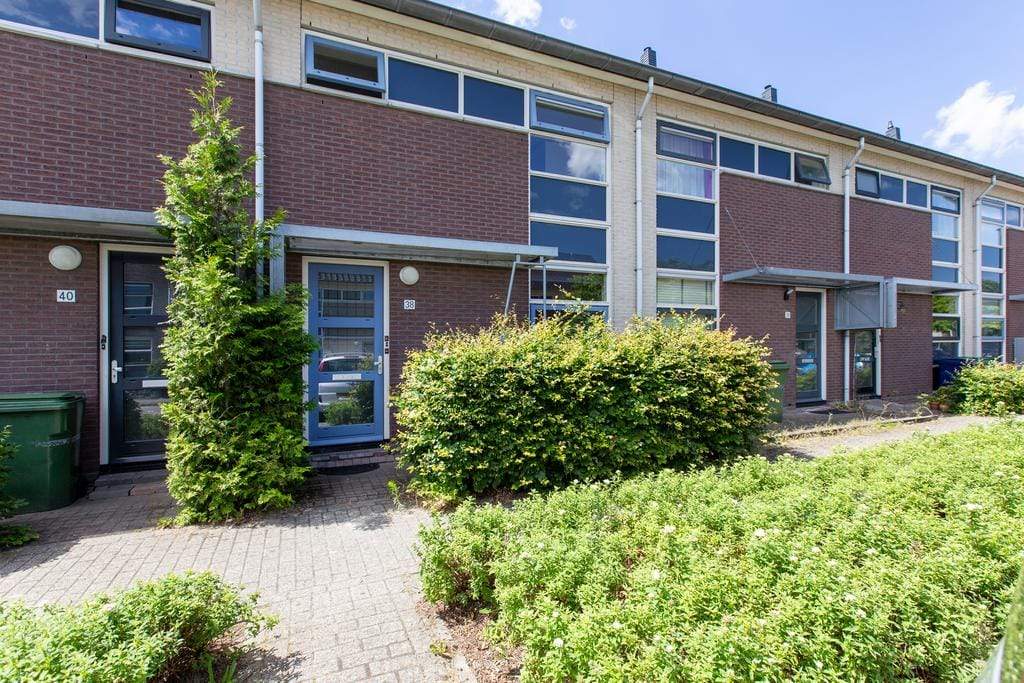 Afbeelding 1 van 12