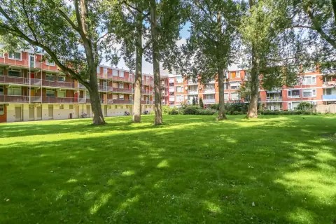 Piso Wagenaarstraat 45, Delft - En alquiler