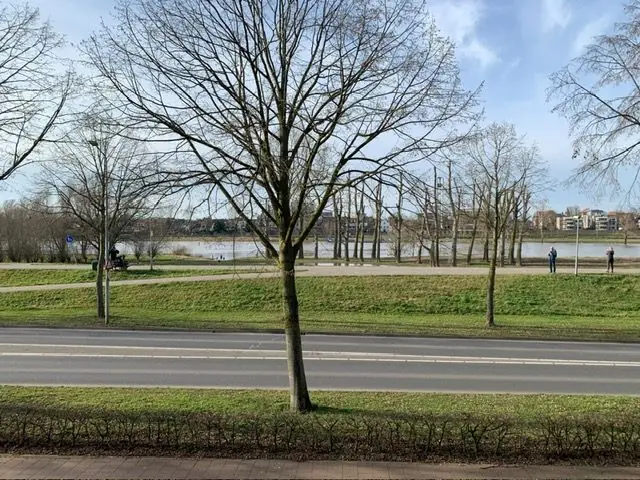 Imagen 8 de 18
