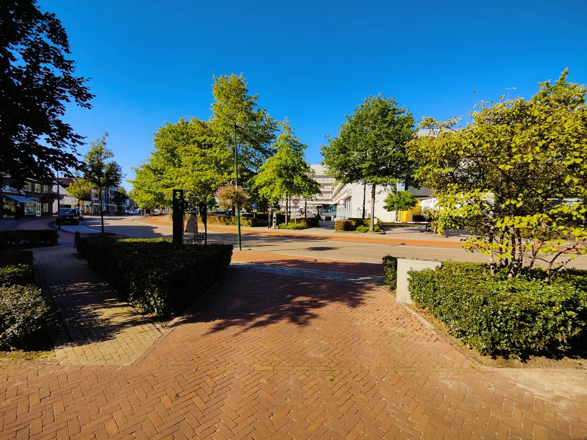 Image 11 of 12