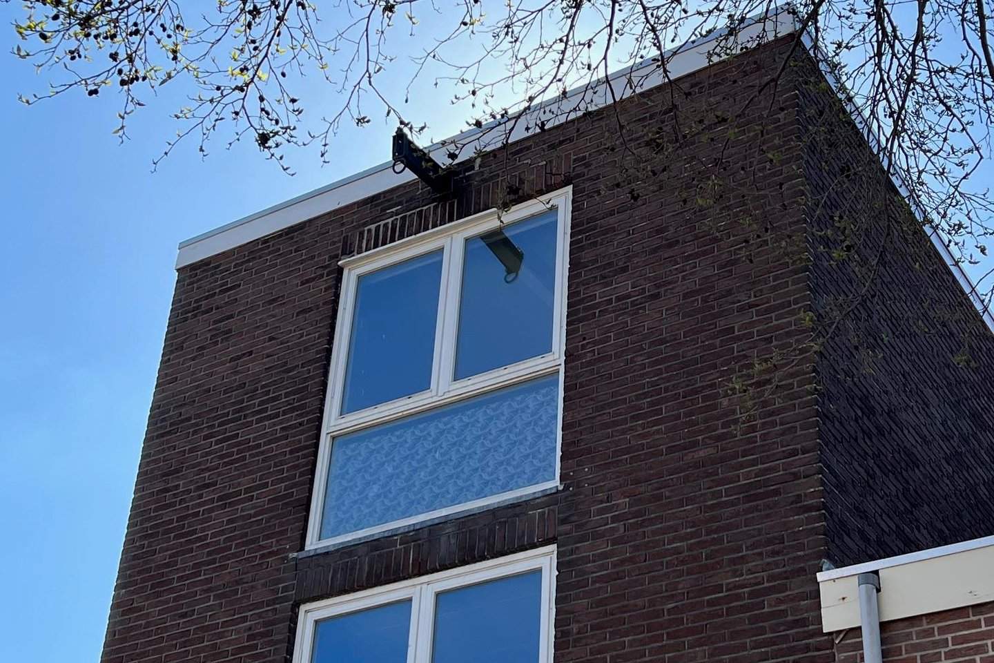 Afbeelding 2 van 11