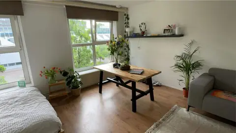 Chambre meublée Korvezeestraat, Delft - À louer