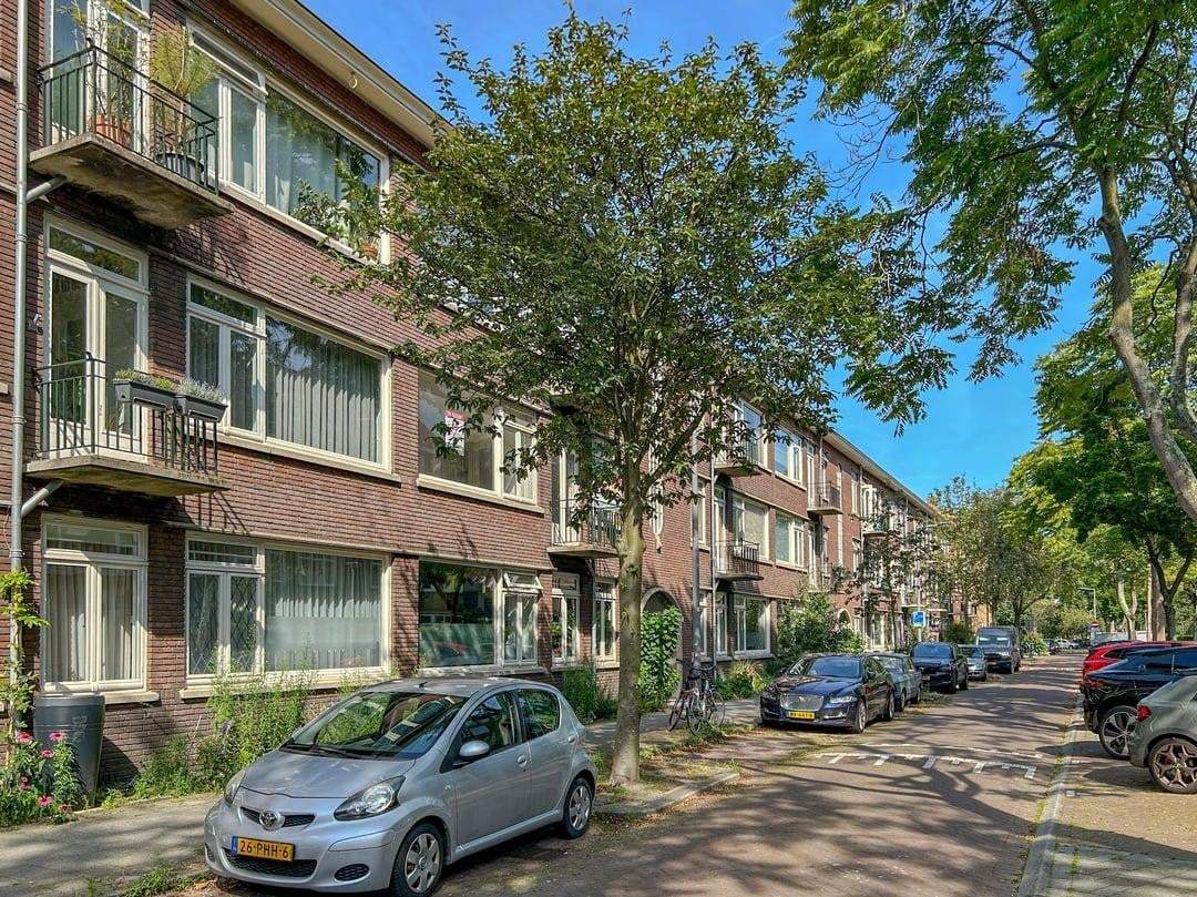 Afbeelding 2 van 14
