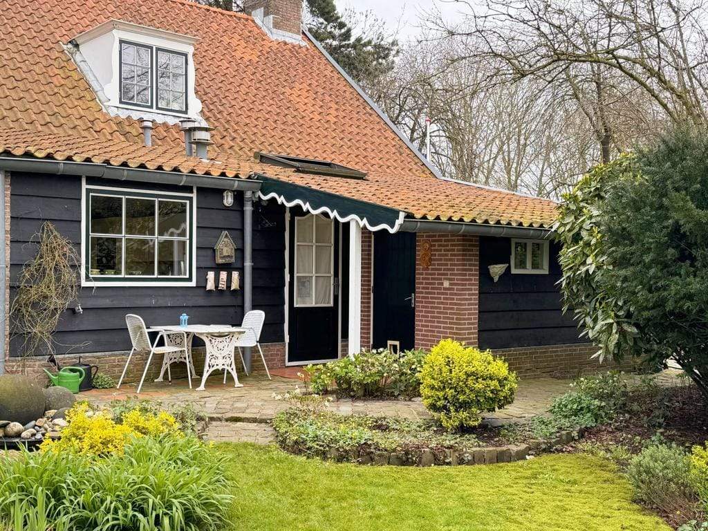 Afbeelding 3 van 12