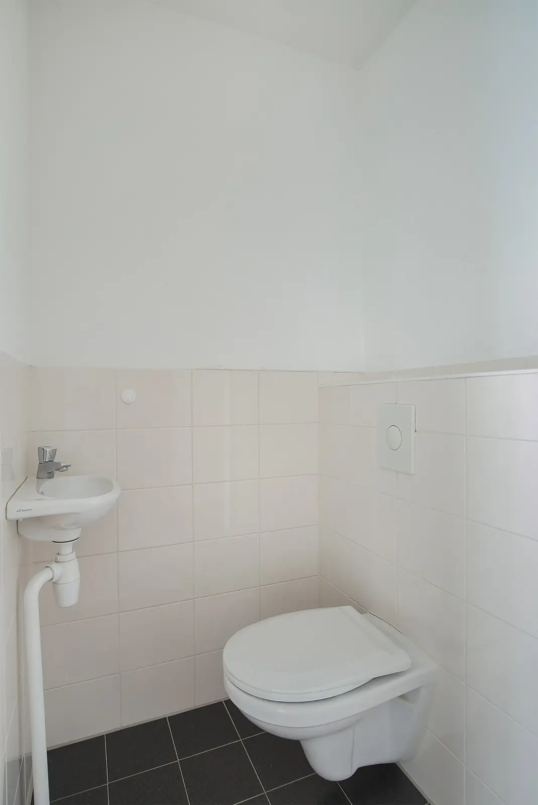 Image 7 of 17