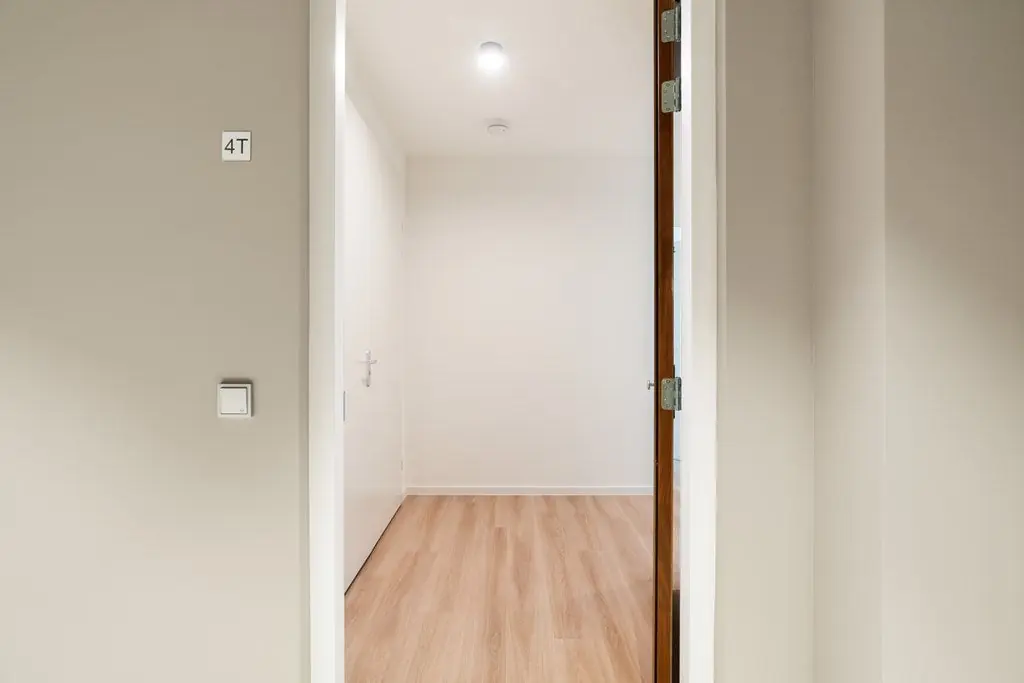 Image 3 of 22