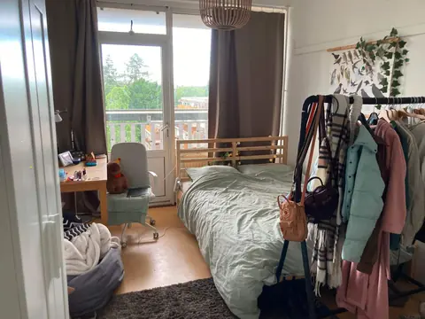 Gemeubileerde Kamer Warande, Zeist - Te Huur