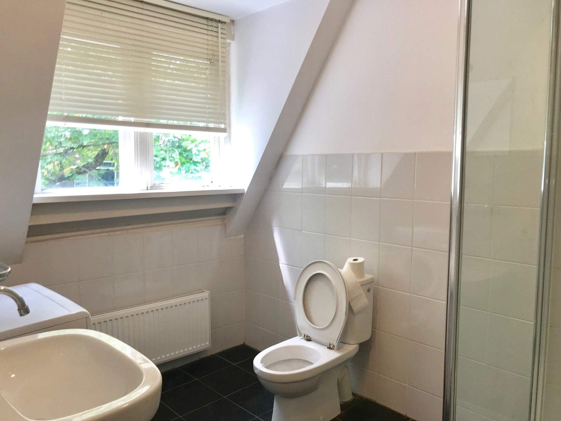 Image 10 of 13