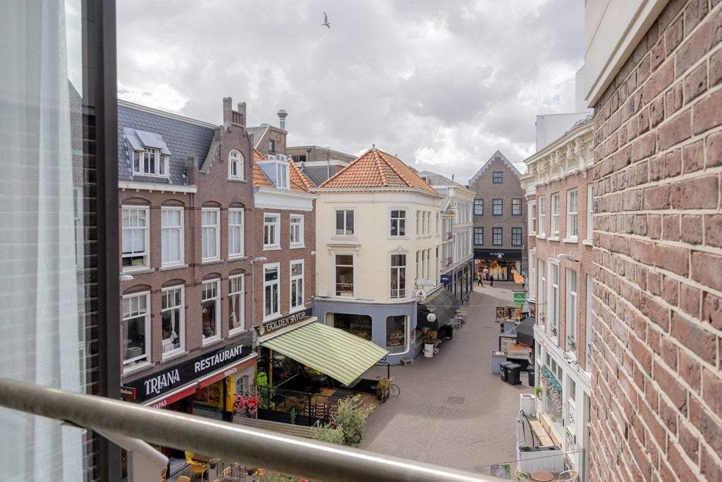 Afbeelding 6 van 46