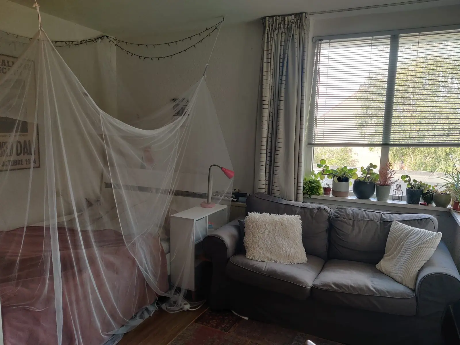 Image 4 of 6