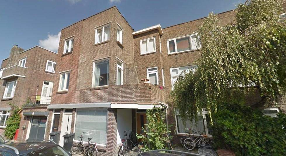 Afbeelding 1 van 13