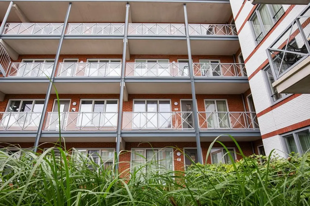Afbeelding 22 van 25
