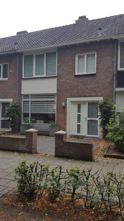Afbeelding 1 van 16