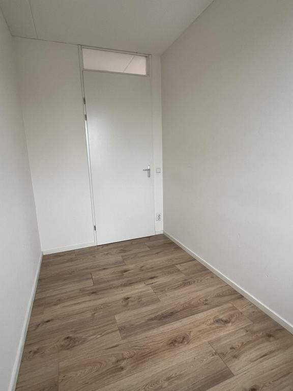 Image 7 sur 21