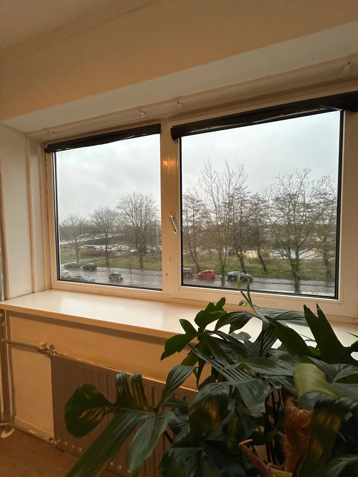 Furnished Room Zuidervaart, Zaandam - For Rent