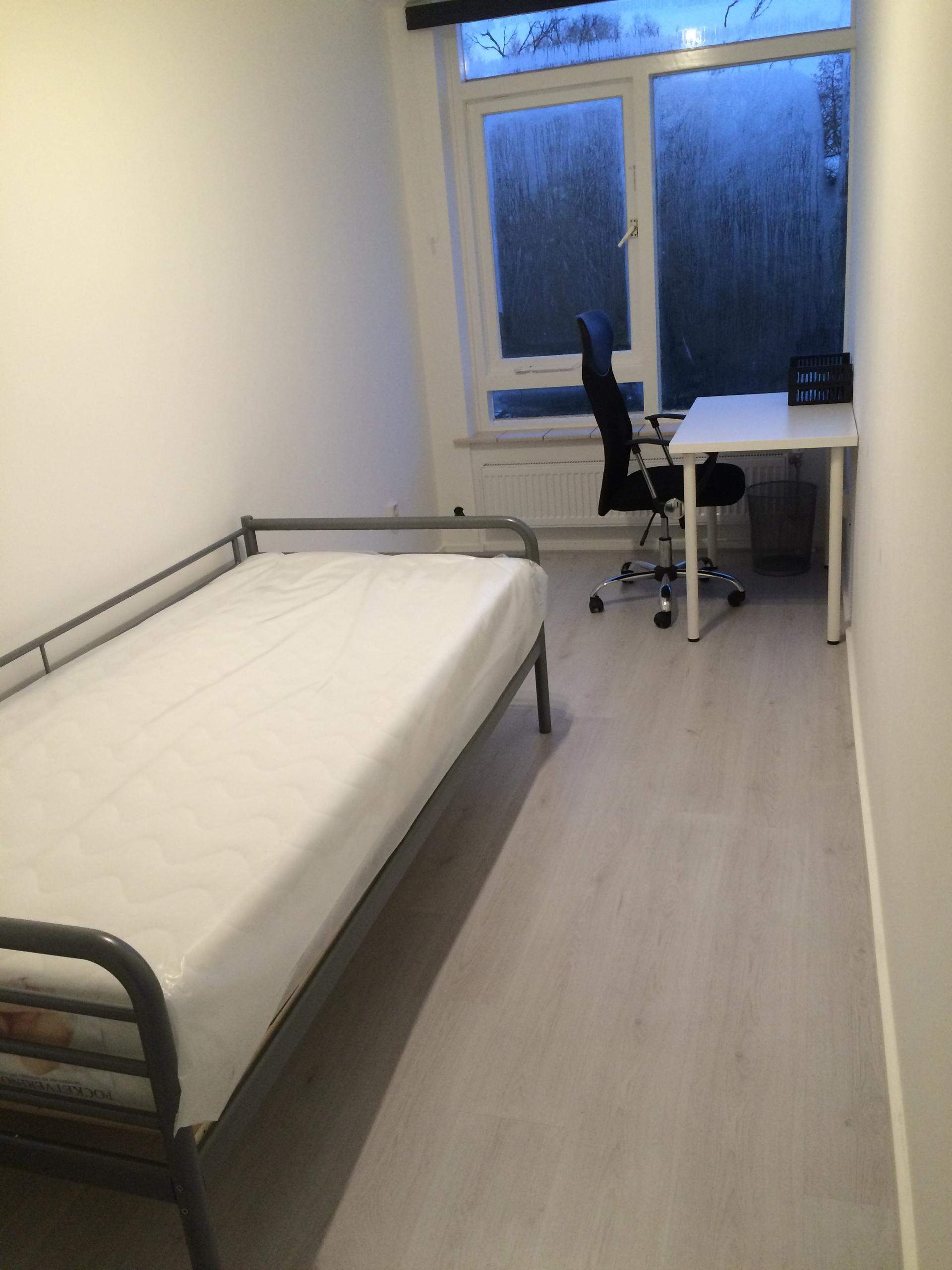 Bild 1 von 10