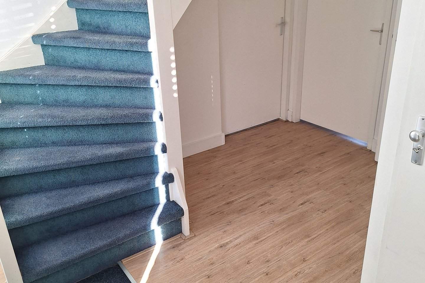Bild 3 von 12
