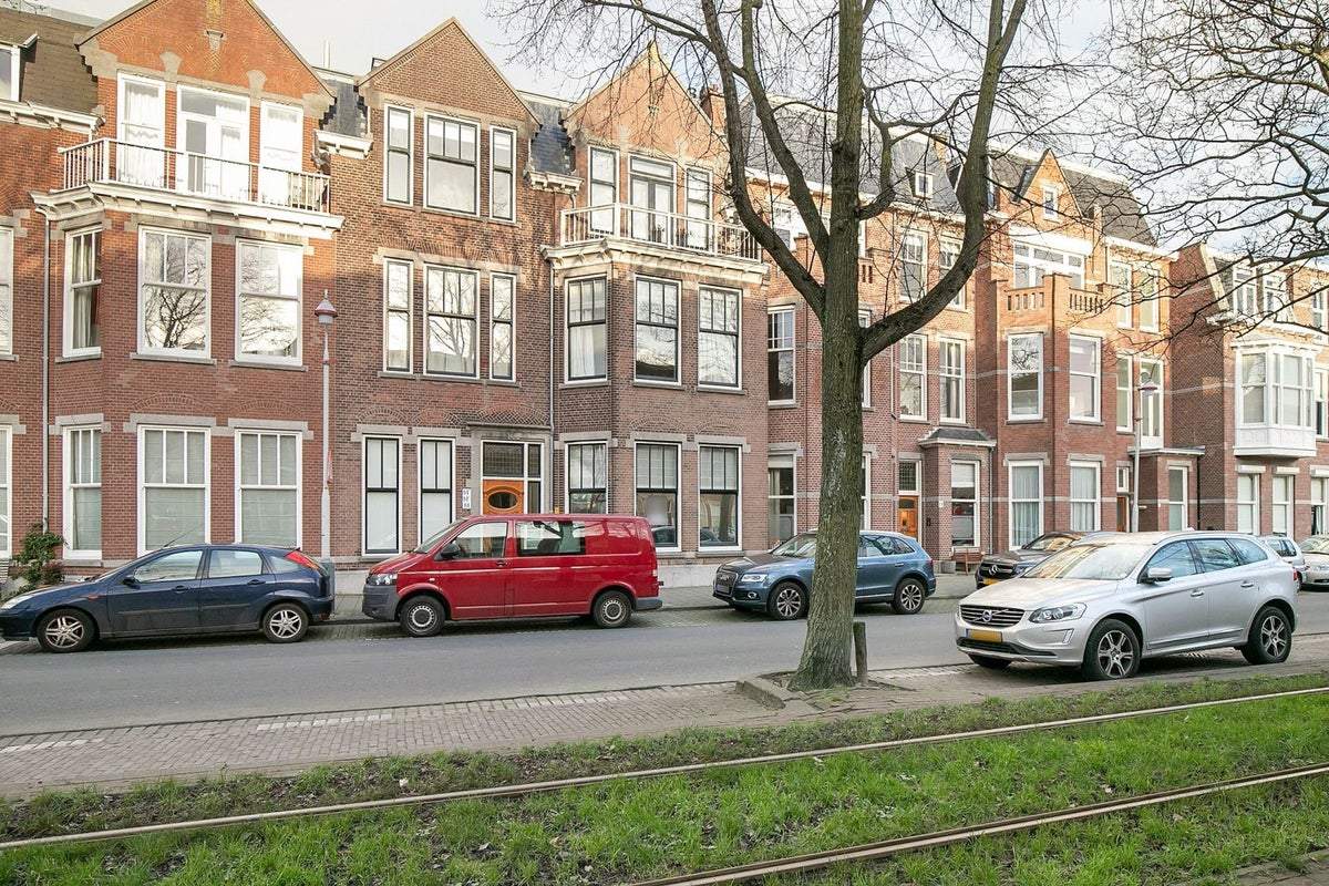 Afbeelding 1 van 19