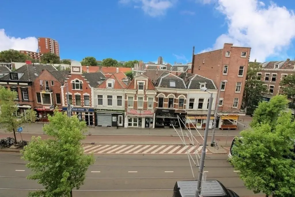 Image 15 of 16