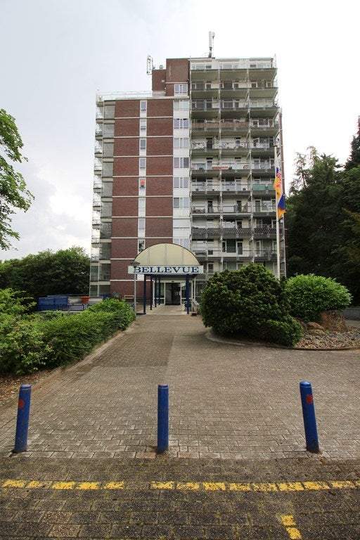 Afbeelding 1 van 25