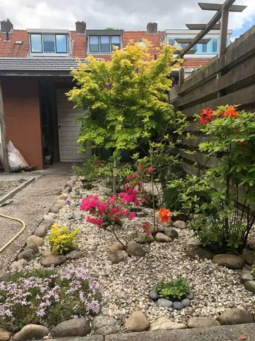 Chambre meublée Rijnstraat, Amersfoort - À louer