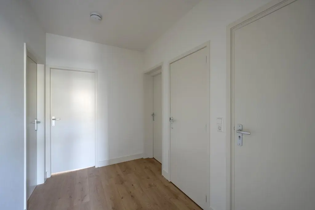 Image 2 of 19