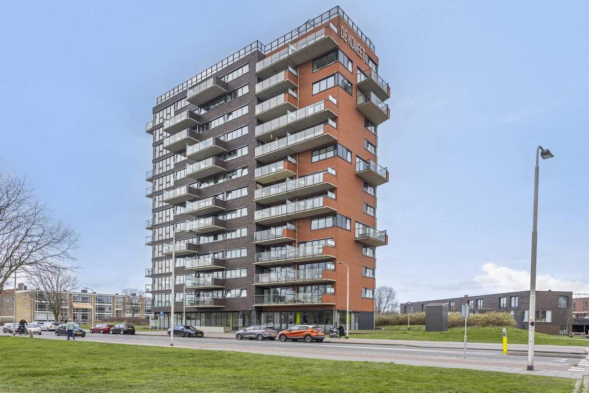 Afbeelding 1 van 25