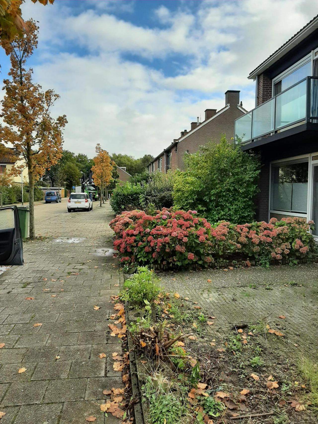 Afbeelding 2 van 9