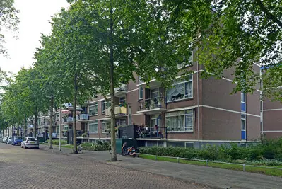 Afbeelding 1 van 5