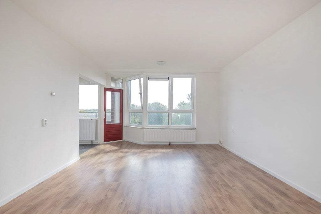 Image 2 of 20