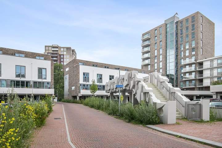 Image 5 of 21