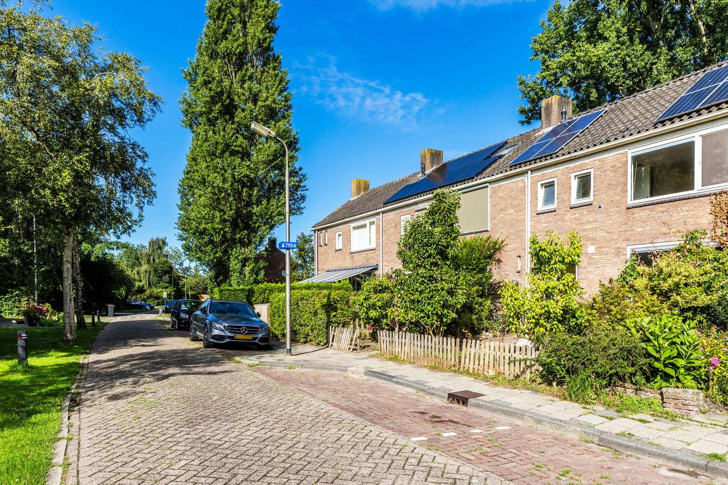 Afbeelding 2 van 12